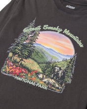 Great Smoky Mountain National Park Vintage Long Sleeve Tee