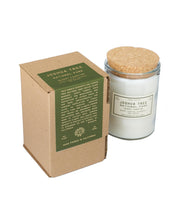 Joshua Tree Desert Campfire Candle