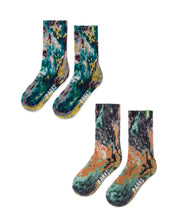 Olympic Lichen Trail Crew Sock 2 Pack
