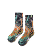 Olympic Lichen Trail Crew Sock 2 Pack