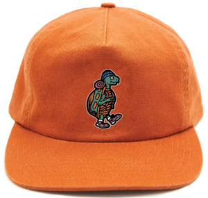 Adventure Turtle Youth Hat