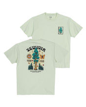 Sequoia Spirit Tee