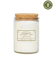 Yosemite Lodgepole Pine Candle