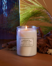 Yosemite Lodgepole Pine Candle